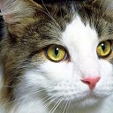 ���� ������, ������, 55 ��� - ��������� 12 ������� 2013 � ������ ���� ����������