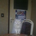 ���� Stoiko, ������, 58 ��� - ��������� 5 ������� 2013 � ������ ���� ����������