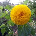 �������� ������� � ��� ����... �� ������� ���� ����������