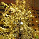 ���� Valechka, �����, 60 ��� - ��������� 10 ������ 2014 � ������ ���� ����������