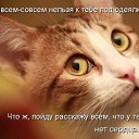 ���� �����, ������, 47 ��� - ��������� 15 ������ 2013 � ������ �.....�