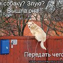 ���� ����������, ������, 48 ��� - ��������� 7 ������� 2013 � ������ �����������