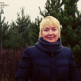 ���� ��������, ������, 62 ���� - ��������� 30 ������ 2013