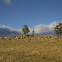 ���� �����, ����-���, 42 ���� - ��������� 4 ����� 2014 � ������ ���� ����������