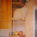 � ��� ����.