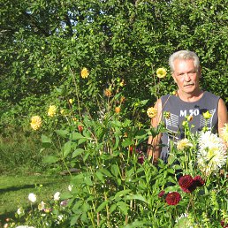 ��������, ������, 72 ����