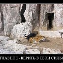���� Alex, �����-��������� - ��������� 9 ����� 2014 � ������ ������ ��������