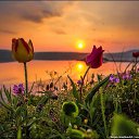 ���� Svetlana, ������ - ��������� 3 �������� 2013 � ������ ���� ����������