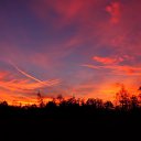 ���� ��������, �����-���������, 37 ��� - ��������� 16 ������� 2013 � ������ ������ ����� �����