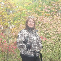 ���� ������ 