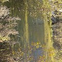 ���� ��������, �������, 53 ���� - ��������� 6 ������� 2013 � ������ ������ ������