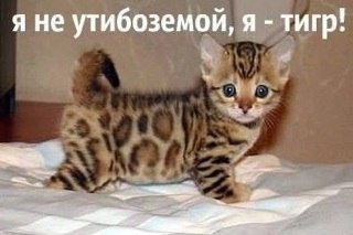 Roman, ����, 50 ���