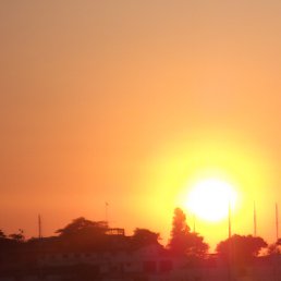 �����, �����-���������, 39 ���