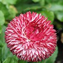 ���� ���������, �����������, 52 ���� - ��������� 23 �������� 2013 � ������ ���� ����������