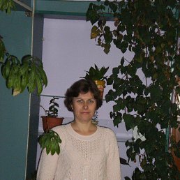 ���� �����, �����������, 51 ��� - ��������� 6 ������ 2013