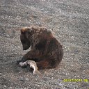 ���� ������, �������, 45 ��� - ��������� 16 ������� 2013 � ������ ���� ����������