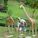 ���� ���������, ������������, 51 ��� - ��������� 11 �������� 2013 � ������ ���� ����������