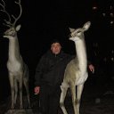 ���� ���������, ������������, 49 ��� - ��������� 4 ������ 2013 � ������ ���� ����������