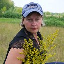 � ���� �� ������� ���� ����������