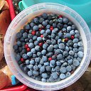 ���� �����, �������� - ��������� 22 ������ 2014 � ������ ���� ������