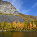 ���� ������, �����-���������, 46 ��� - ��������� 15 ������� 2013 � ������ ���� ����������