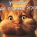 ���� ��������, ����������, 53 ���� - ��������� 15 ������� 2013 � ������ ����������