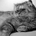 ���� �������, ��� - ��������� 14 ������� 2014 � ������ ������� ��������� ����� �����. ��������.�