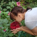 ���� �������, ���������, 32 ���� - ��������� 12 �������� 2013