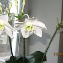 ���� Kisa, ��������������, 42 ���� - ��������� 21 ������� 2013 � ������ ������ �����������...�