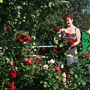 �� ���� � ������������� �� ������� ���� ����������