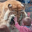 ���� �������, �����������, 44 ���� - ��������� 28 ������� 2013