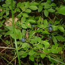 ���� ����, �����-��������� - ��������� 19 �������� 2013 � ������ �������� � ���������� �������