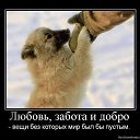 ���� ���, ������ - ��������� 7 ����� 2014 � ������ ������ ��������