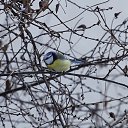 ���� �������, ��������, 47 ��� - ��������� 24 ������ 2014