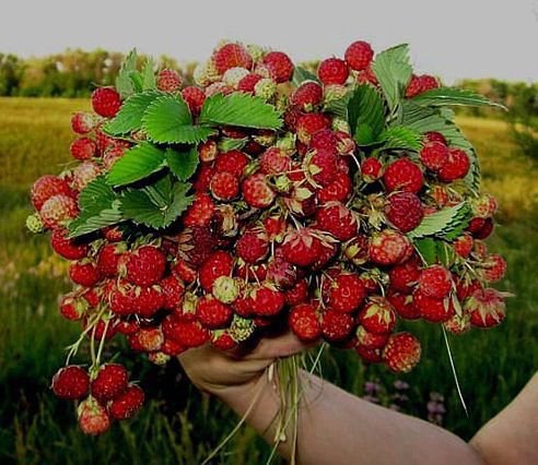 Хочу лето!