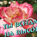 ���� ����, ������-��-���� - ��������� 31 ������� 2013 � ������ ���� ����������