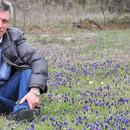 ���� ��������, ����������, 65 ��� - ��������� 5 ������� 2013