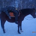 ���� ����������, ������, 35 ��� - ��������� 2 ������� 2013 � ������ ���� ����������