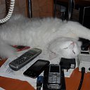 ���� ���������, ������, 76 ��� - ��������� 29 ������� 2013