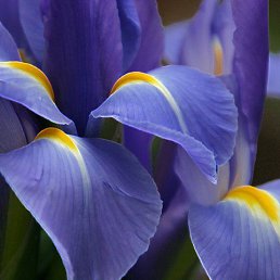 ���� ����������, ������, 52 ���� - ��������� 15 ������� 2013