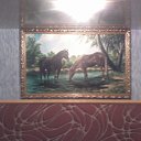 ���� ���������, ������, 47 ��� - ��������� 14 ������ 2013