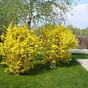 ���� ������ ����, ����, 44 ���� - ��������� 17 ������� 2013 � ������ �������� ������!�