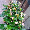���� ���������, ������ - ��������� 24 �������� 2013 � ������ ���������� ���������_2012�