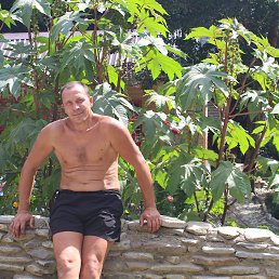 ���� ���, ������������, 58 ��� - ��������� 2 ������� 2013