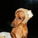 ���� �����, ����������, 50 ��� - ��������� 15 �������� 2013 � ������ ���� ����������