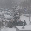 ���� 2012 �� ������� ����� ��� ������������