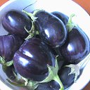 ����� ��������� �� ������� ���� ����������