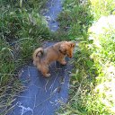 ������. �� ������� ��� ����.2013.�