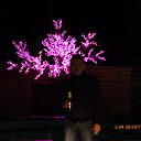 ���� Ivan, �����, 41 ��� - ��������� 7 ������ 2013 � ������ ��.������