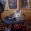 ��� ����))) ���� 2012 �� ������� ���� ����������